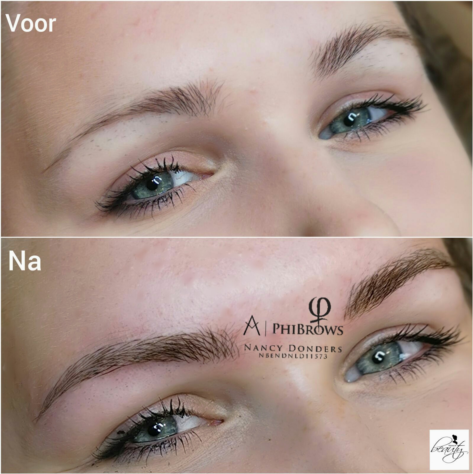 grens violist Aktentas PhiBrows 3D hairstrokes microblading | Permanente make up